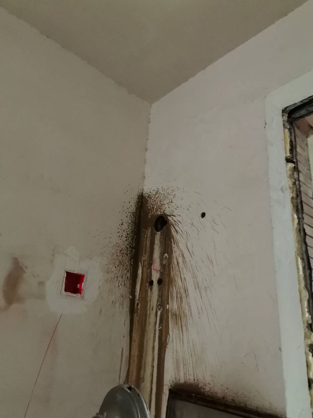 第九园 别墅4*-2 施工照片