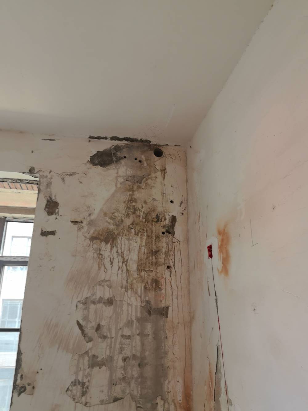 第九园 别墅4*-2 施工照片