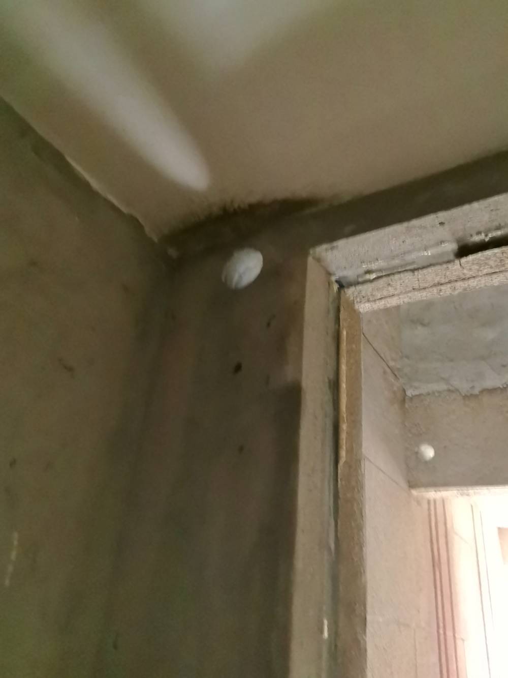 星源名苑 *-1302 施工照片