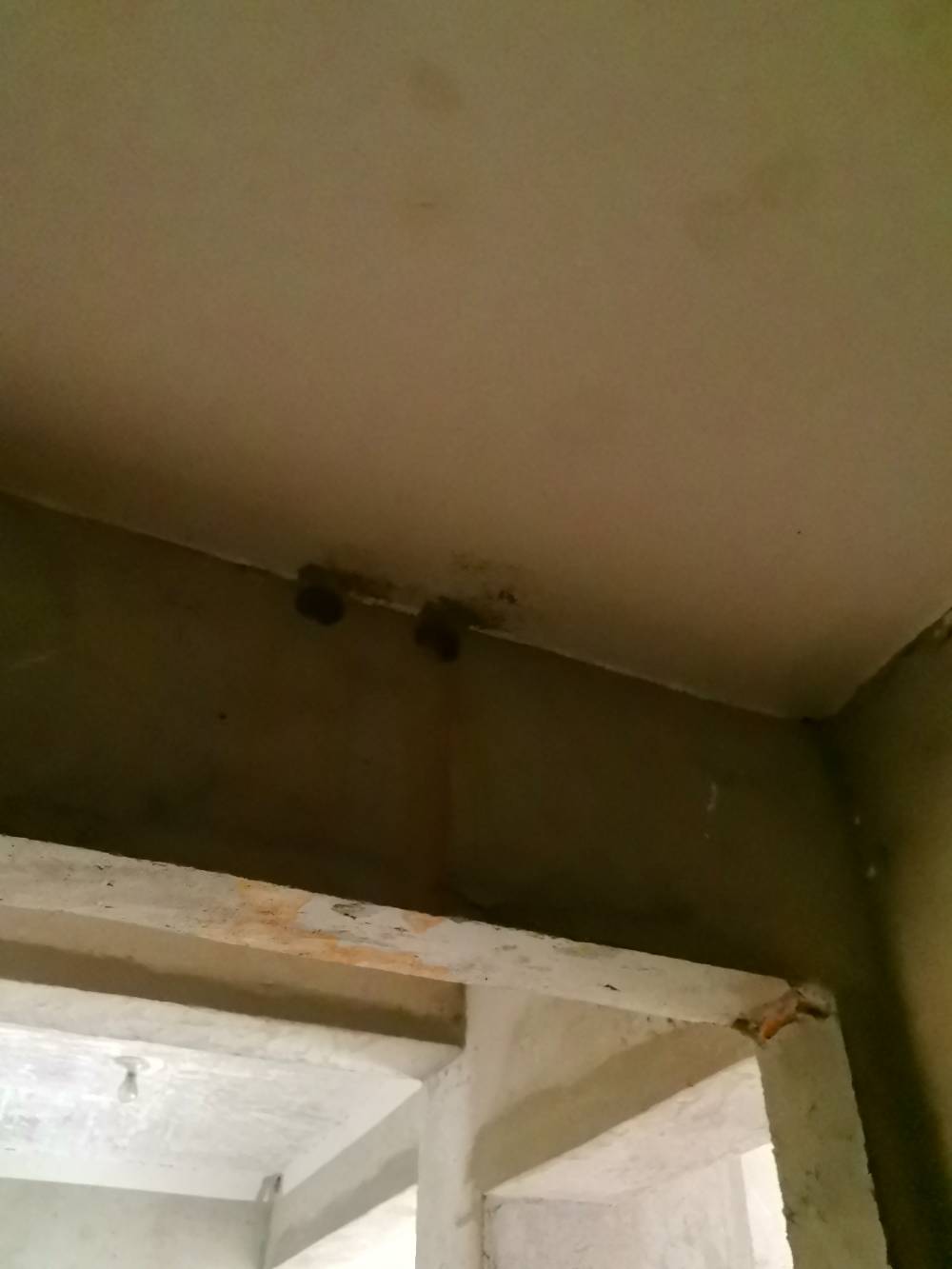 星源名苑 *-1302 施工照片