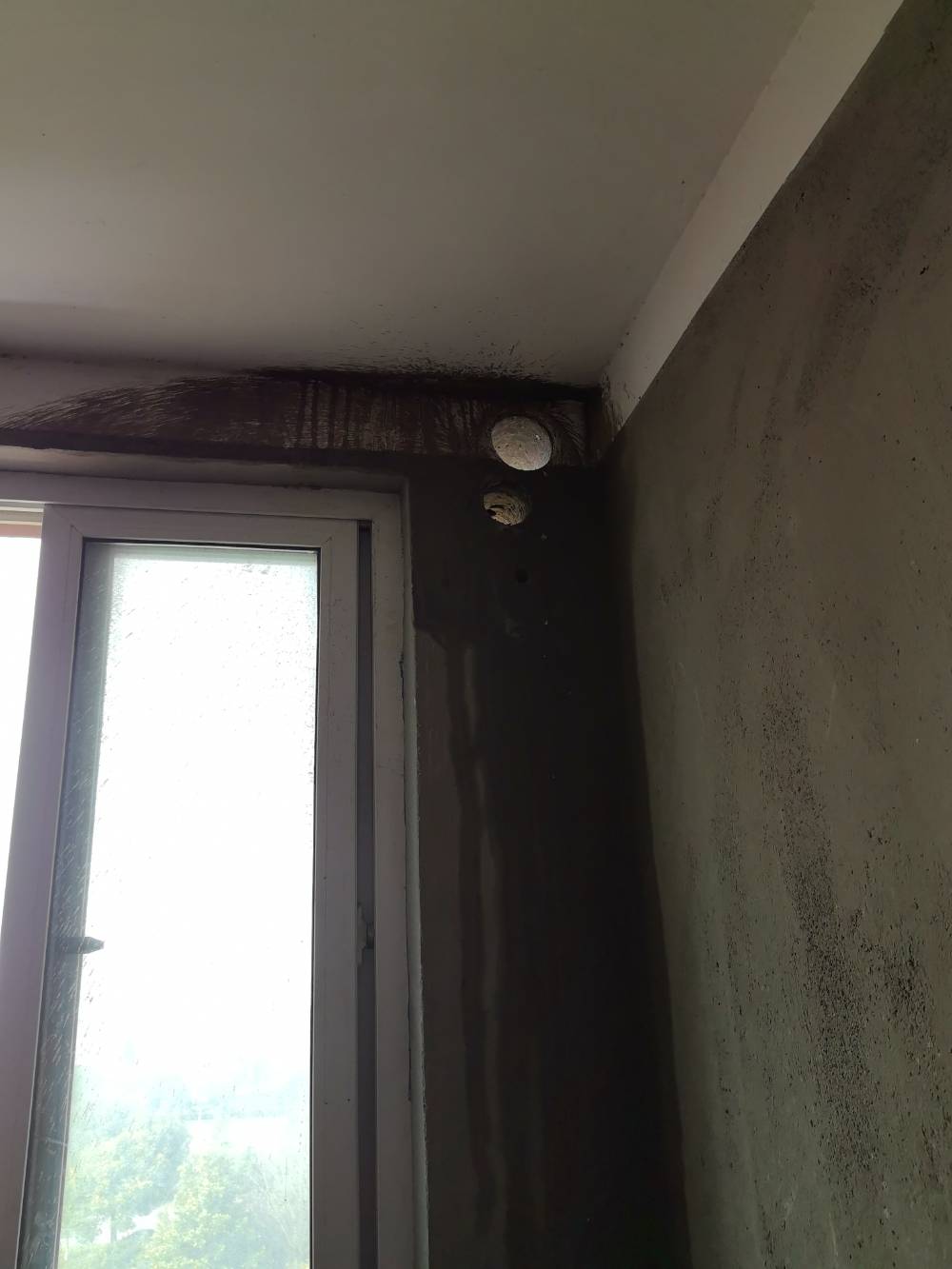 滨江花苑 8*-701 施工照片