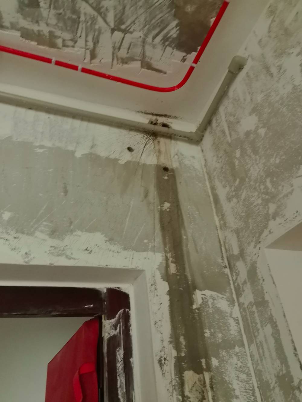 富都豪园 *-3105 施工照片