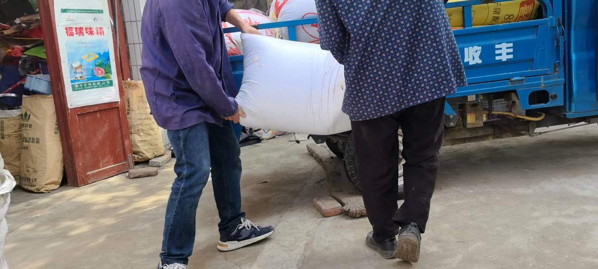 两车小麦六千斤，一老一少共辛劳